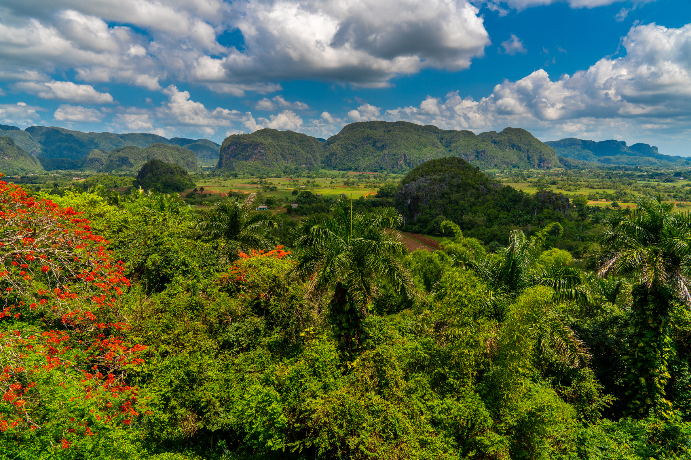 vinales 04.webp
